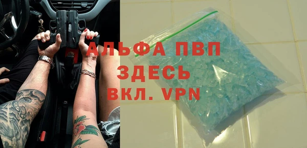 индика Баксан