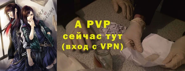 индика Баксан