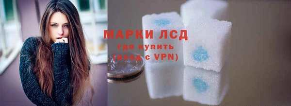 индика Баксан