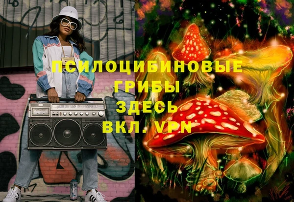 индика Баксан