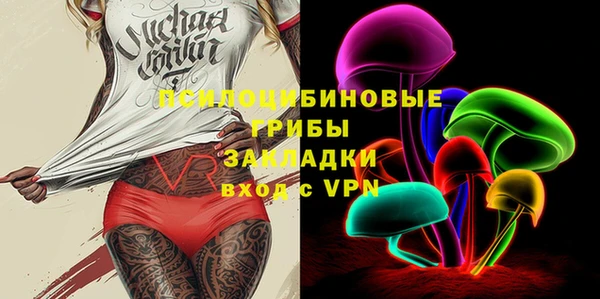 индика Баксан