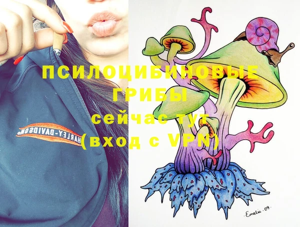 индика Баксан