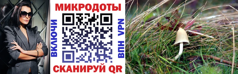 Галлюциногенные грибы ЛСД  купить наркотики цена  Поронайск 